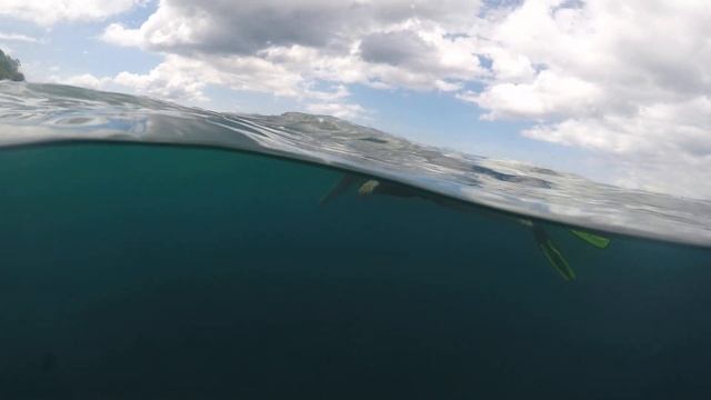 Aquarium смотреть онлайн