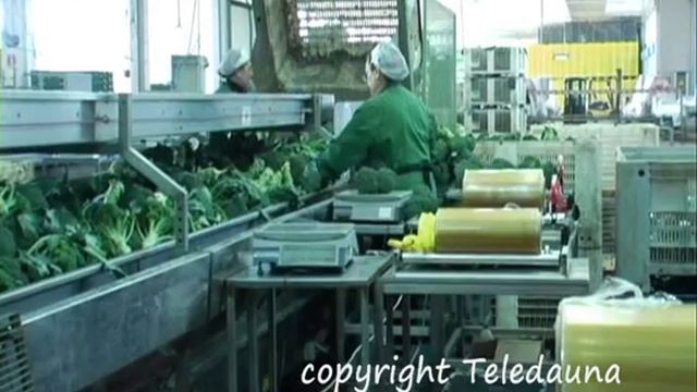 L'agricoltura del futuro.wmv смотреть онлайн