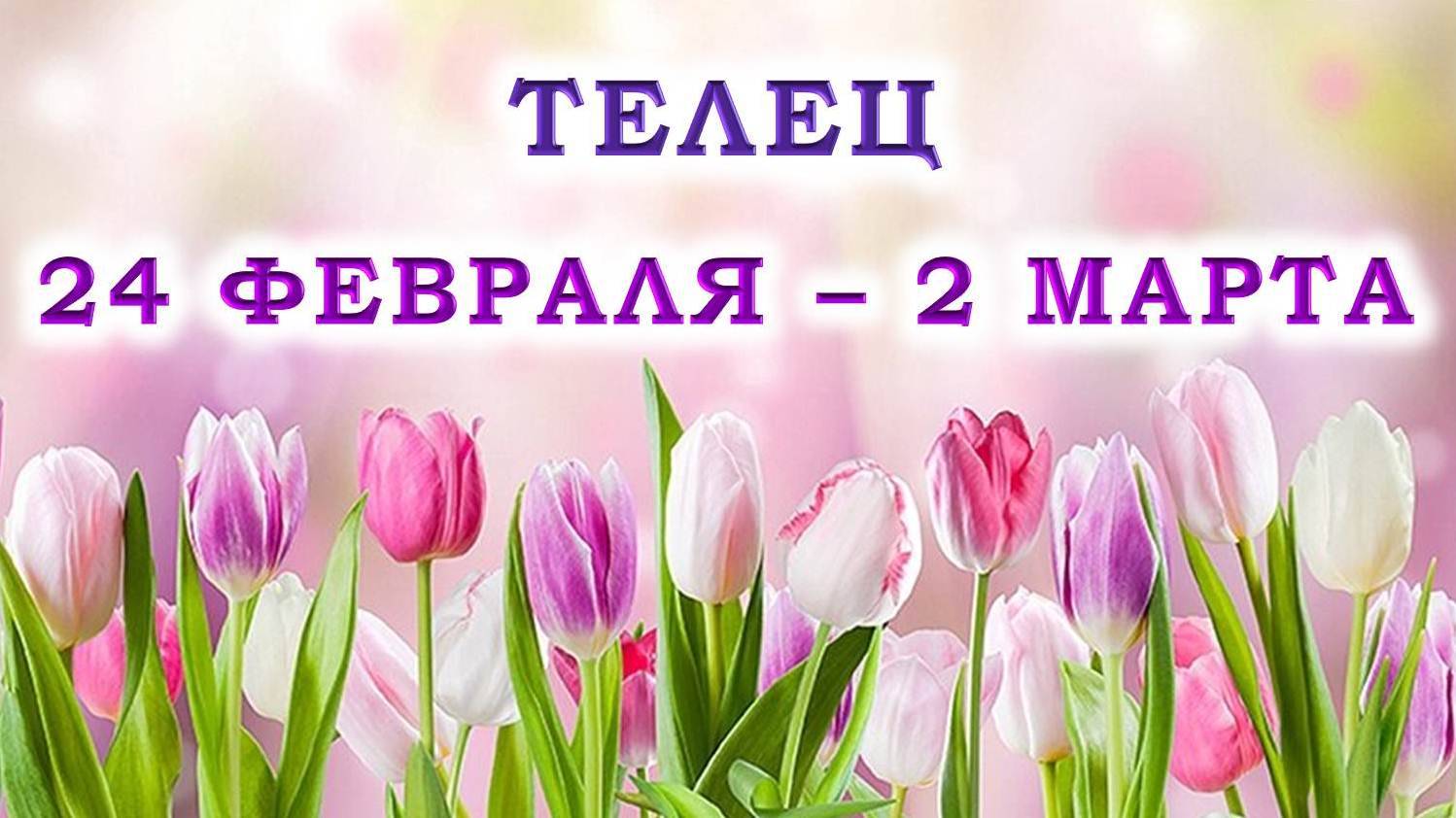 ♉ ТЕЛЕЦ. 🌷 С 24 ФЕВРАЛЯ по 2 МАРТА 2025 г. 💖 Подробный Таро-прогноз 🫶 смотреть онлайн