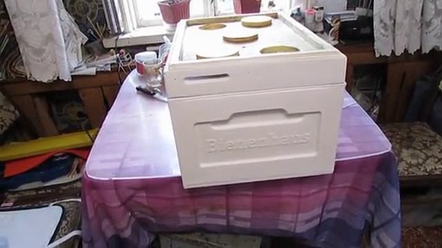 про верхний леток в корпусе улья у пчел , 21.02.2025 смотреть онлайн