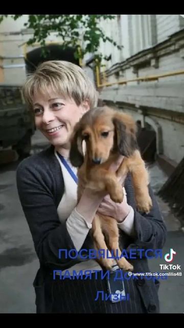 Светлая память. Елизавете Глинка 20.02.1962-25.12.2016 смотреть онлайн