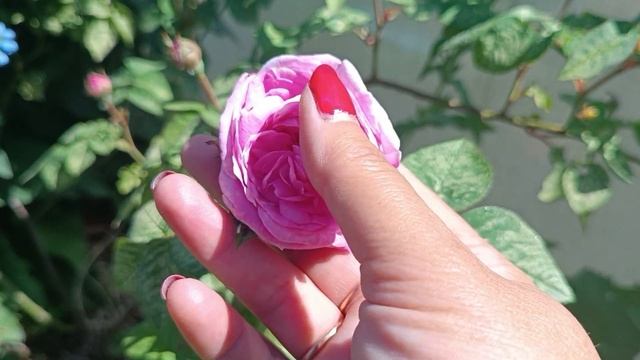 25 мая 2024 г. смотреть онлайн