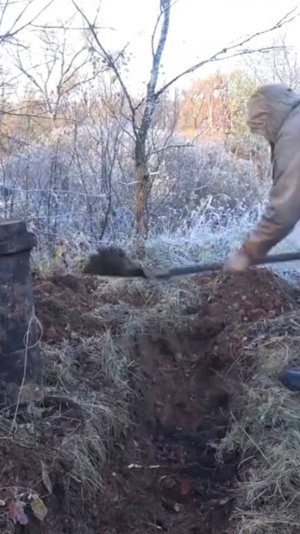 Крутая находка. Нашёл и забрал!