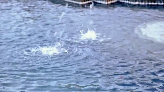 Home for sale: 1193 Village Drive, Chino Hills смотреть онлайн