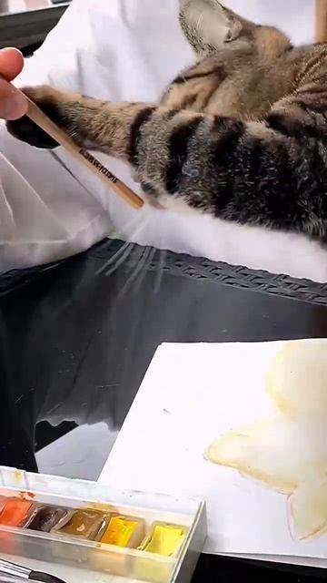 When the drawing is at risk😅 Subscribe and see the result! #cutecat #cat #artcat #cats #kittysquad смотреть онлайн
