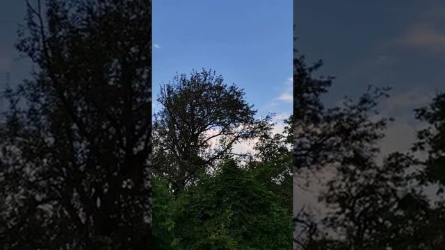 18:24 18 июля смотреть онлайн