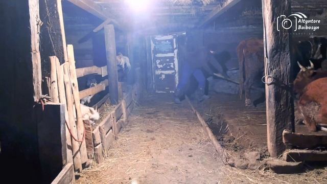 Кешкілік қорада смотреть онлайн