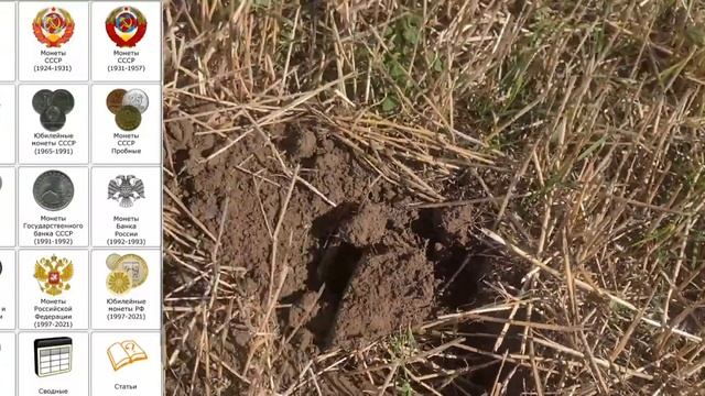 Коп на Поле [Коп Монет] Серебряные Монеты.