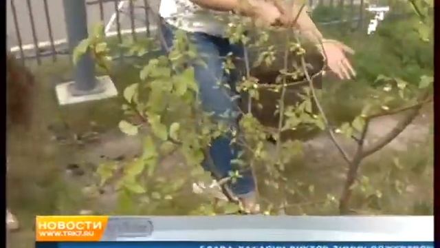 29052017 7канал 007 смотреть онлайн