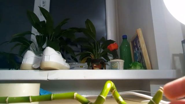 первое видео о предмете смотреть онлайн