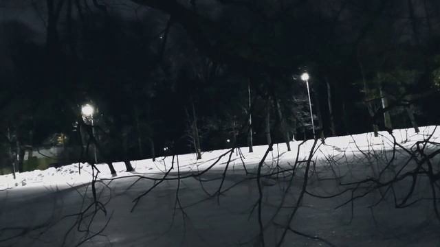 VID 20230301 024145 Данте- к Чино да Пистоя (Данте Алигьери)...Павел Васильев Лахтинский смотреть онлайн