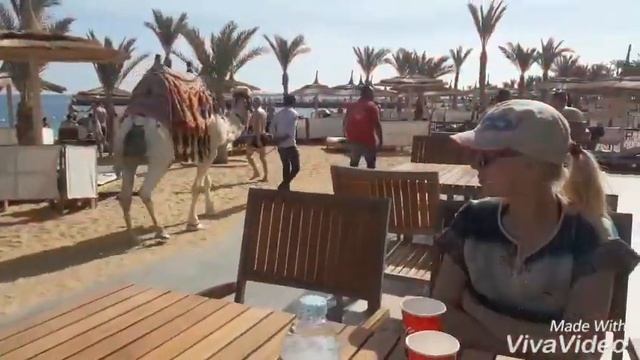 Egypt Hurghada Albatros Aquapark december 2017 instagram rokzamuda смотреть онлайн