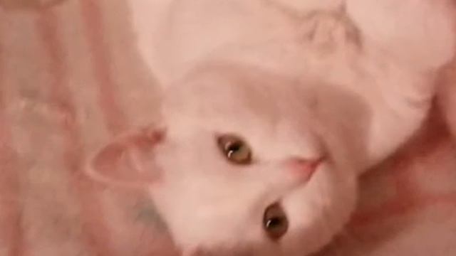Новые фотки Маруси.Так мило :'( смотреть онлайн
