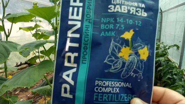 Всем рекомендую, так ухаживать за огурцами！ смотреть онлайн