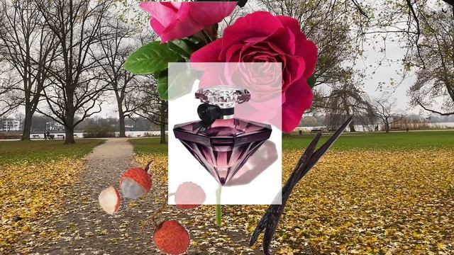 عطر لانوي تريزور من لانكوم #لانكوم #عطور #شتاء / Lancôme tresor la nuit смотреть онлайн