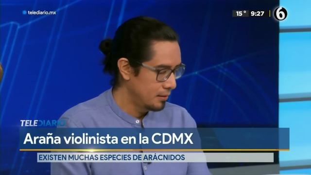 ¿Cuándo empieza la temporada de arañas violinistas? смотреть онлайн