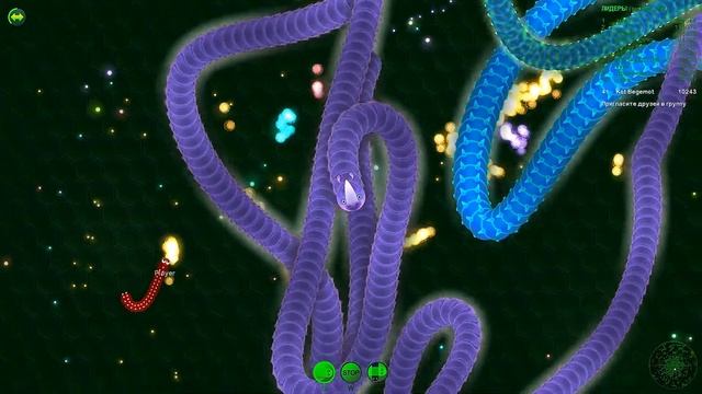 Wormax.io | Fun | Kot Begemot смотреть онлайн