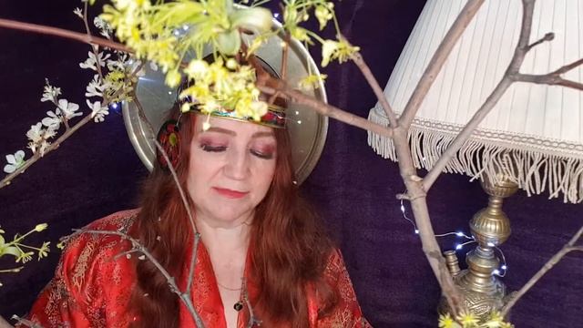 Библиотека Лены смотреть онлайн