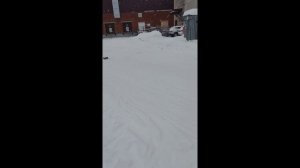 Машинка от BAZUMI 1:16