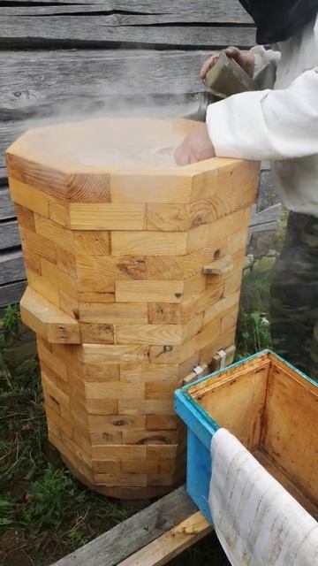 ЦАРСКИЙ (ЖЕНЬШЕНЕВЫЙ) МЁД - ПЕРВЫЙ СБОР НА ПЛАНТАЦИИ ОРГАНИЧЕСКОГО ЖЕНЬШЕНЯ И ЛЕКАРСТВЕННЫХ РАСТЕНИ смотреть онлайн