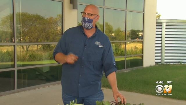 Gardening 101: When In Doubt, Plant Your Fall Crop Early