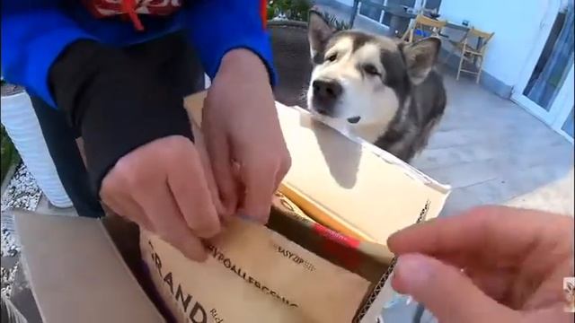 Husmut😘😘😘😘Кто тоже его смотрит напишите в комментариях 😊 смотреть онлайн