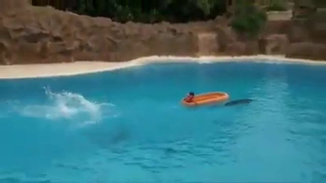 Jehovah's love смотреть онлайн