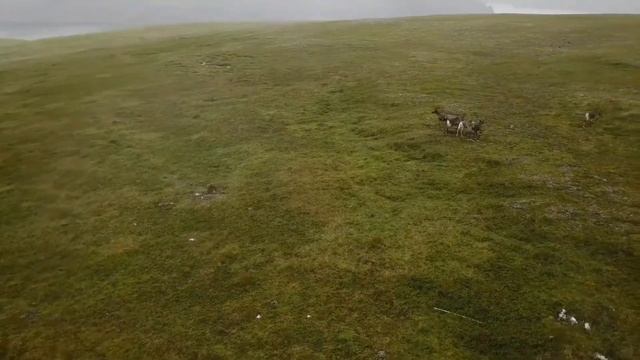 Quilosegos por el mundo. Laponia. Ruta hacia Cabo Norte. смотреть онлайн
