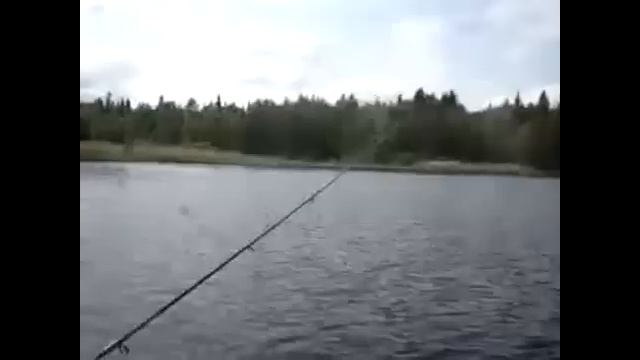 ЯЗЬ РЫБА МОЕЙ МЕЧТЫ смотреть онлайн