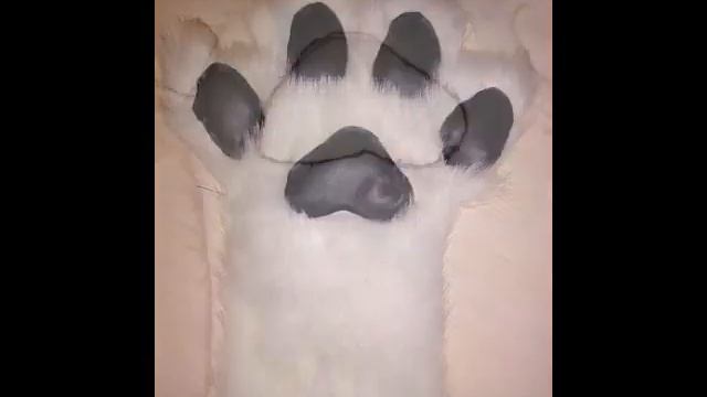 Туториал на фурчатки (фурсьют лапки) /Fursuit Hand Paws Tutorial