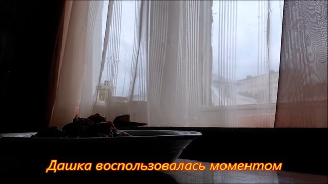 Дашка смотреть онлайн