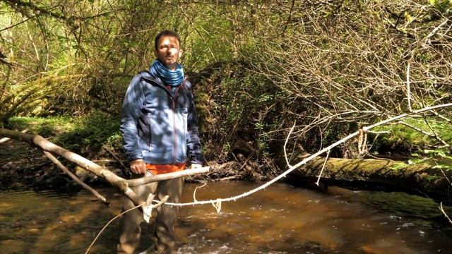 L'arbre source de vie pour la rivière смотреть онлайн