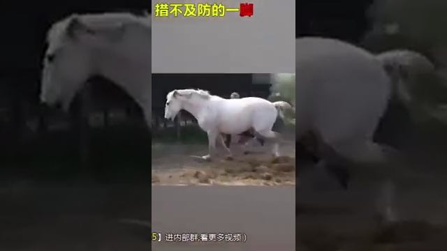 Полный нокаут смотреть онлайн