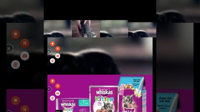 whiskas 2015 смотреть онлайн