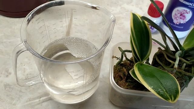 Новые малыши прибыли!!! Первая антистрессовая обработка малышей. смотреть онлайн
