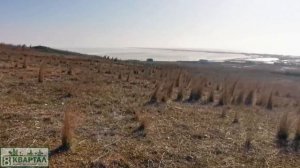 Краснодарский край Темрюкский район посёлок Веселовка Участок