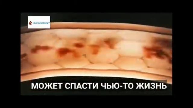 Стань донором - спаси жизнь! смотреть онлайн