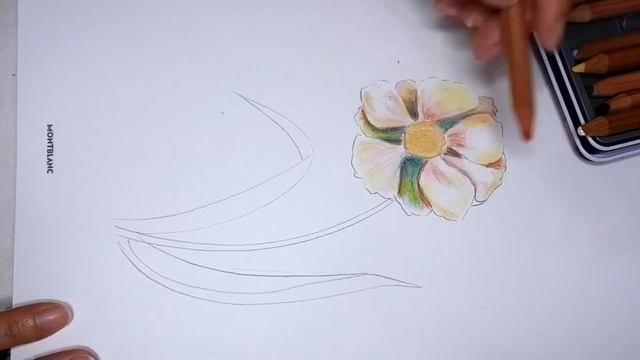 BEAUTIFUL FLOWER COLORED PENCIL DRAWING | Step By Step Tutorial