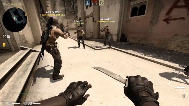 CSGO CHILL STREAM BERKUT GAMING! 144hz!