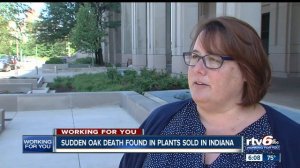 Sudden Oak Death found in plants sold in Indiana