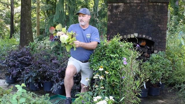 In the Garden | Mixing Color and Texture смотреть онлайн