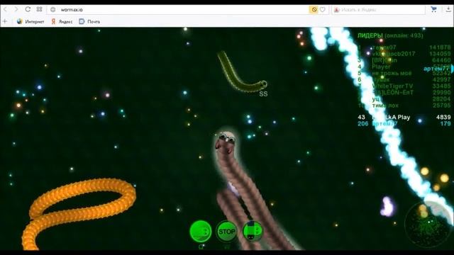 [WORMAX.IO] Первый взгляд в Wormax Io.