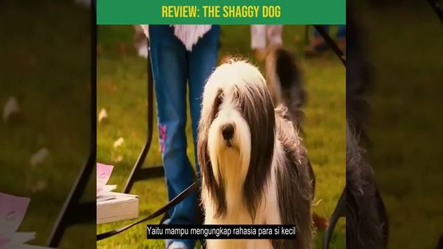 Review Film The Shaggy Dog смотреть онлайн