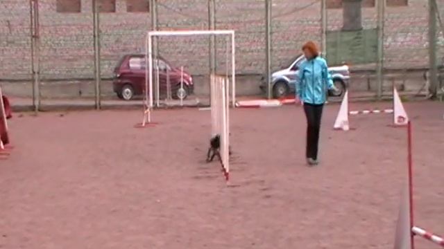 Новикова Мария и рос ГЕРМЕС А1 1 смотреть онлайн