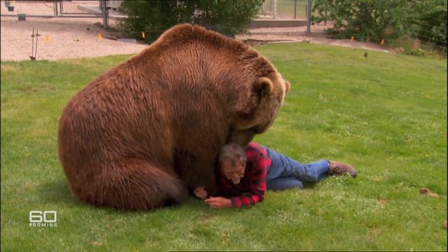 Man puts head in grizzly bear's jaws | 60 Minutes Australia смотреть онлайн