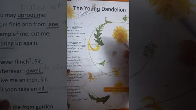 Class-3 English Interactive Poem-The young Dandelion Topic-Explanation of this poem (Part-1) смотреть онлайн