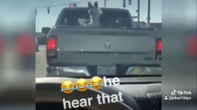 Jokes 7 days #677 смотреть онлайн