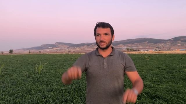 Reygras Kış Ekimi Yaptık -  Tohum İçin Bizi Arayın 0 555 140 46 10 #reygras #ryegrass #tohum #ekim