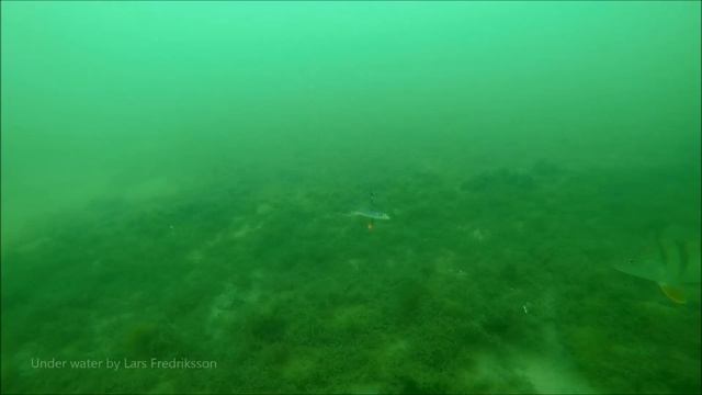 Paraisten Kirkkoselkä 18 2 2017 смотреть онлайн