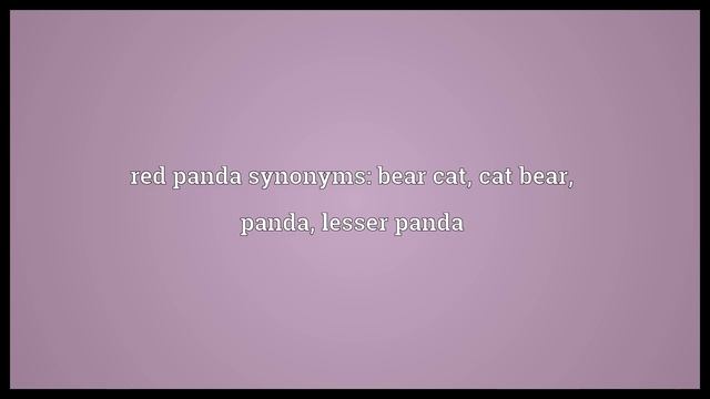 Red panda Meaning смотреть онлайн